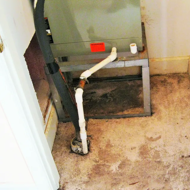 Mold caused by an AC leak