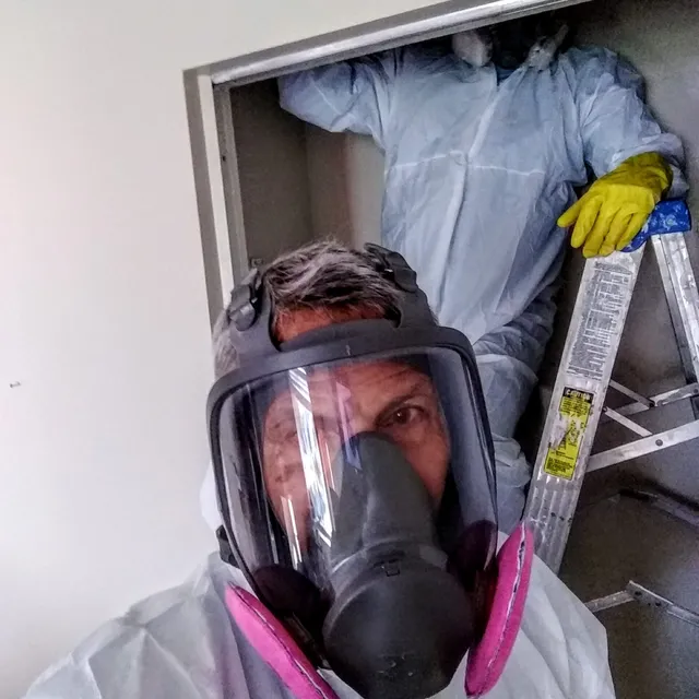 Technician in a full-face respirator during mold remediation