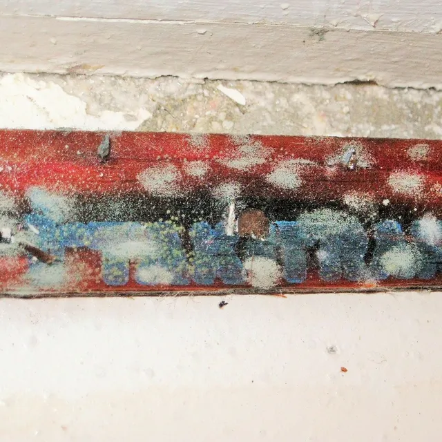 Mold growth on a baseboard